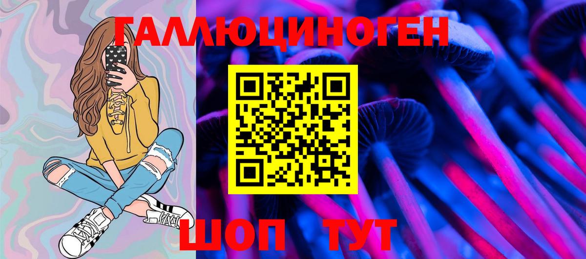 Рязань  Псилоцибиновые грибы Psilocybe  Вход с VPN 